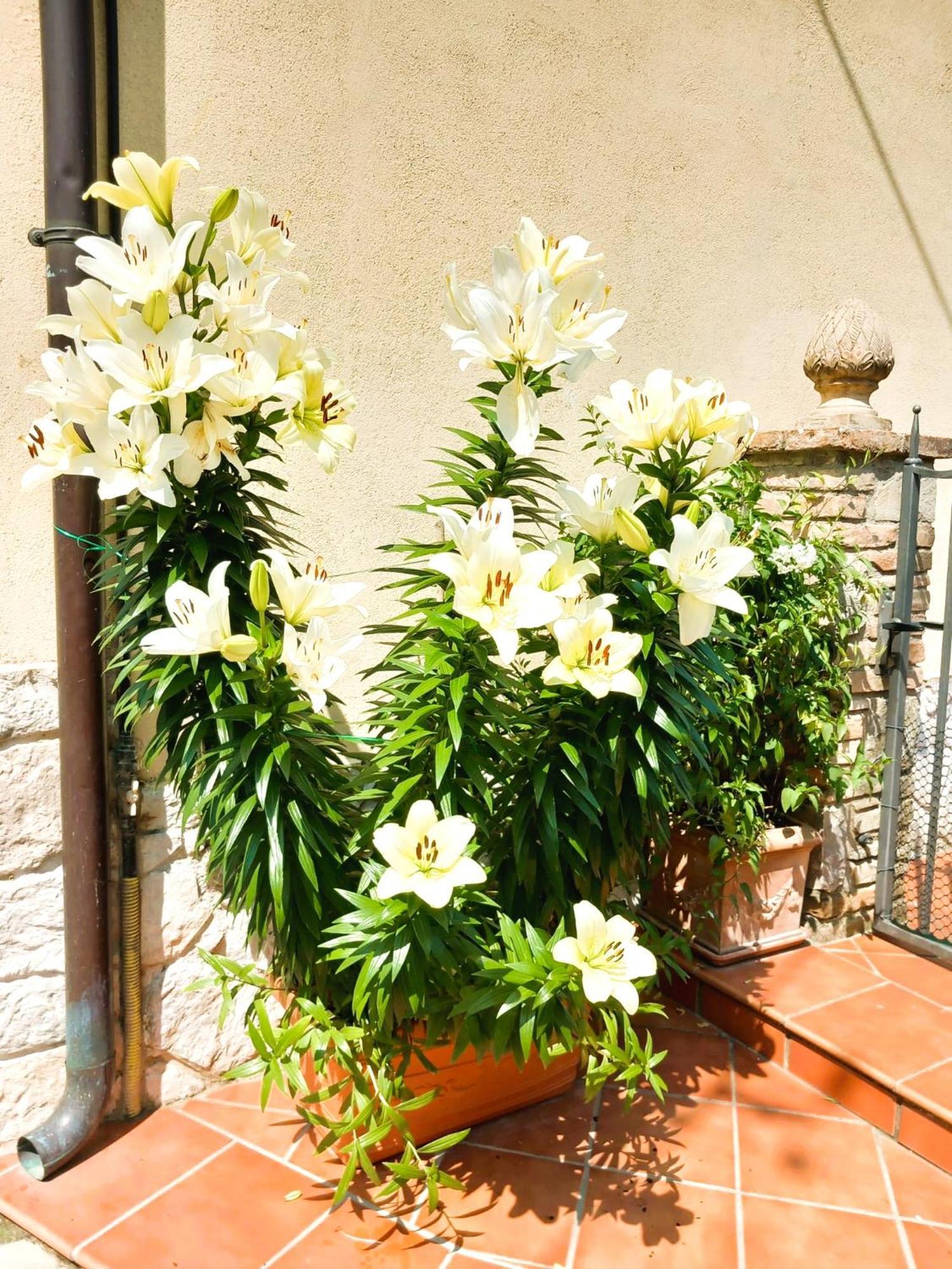 Borgo San Savino Guest House San Savino  Exterior photo